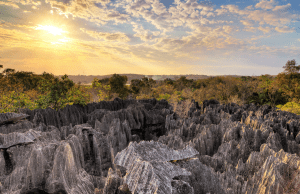 The tsingys of Bermaraha