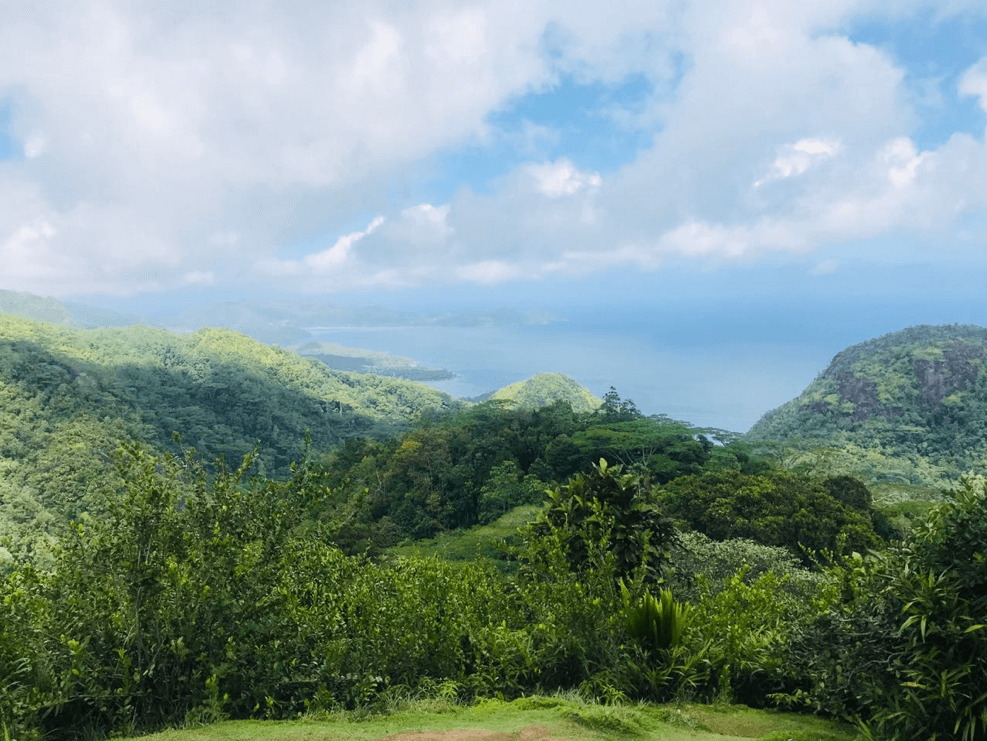 Hiking Views at Constance Ephelia