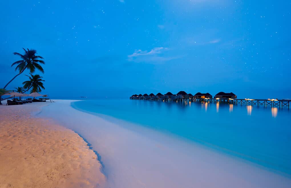 Night dives in the Maldives