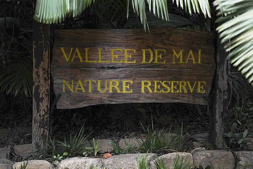 Valee de Mai Seychelles