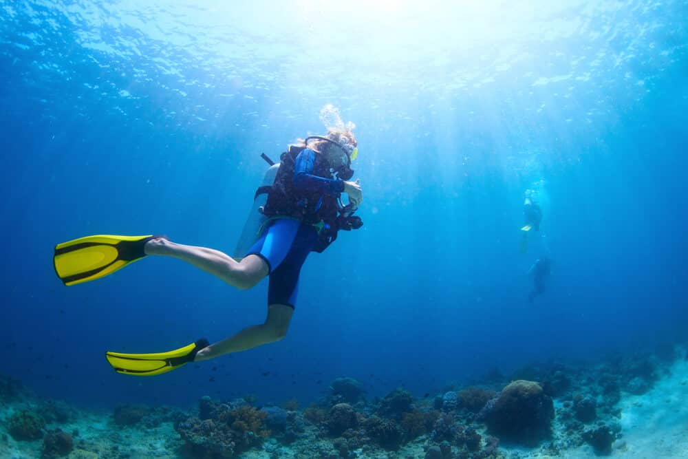 Madagascar has some of the most beautiful coral reefs in the world